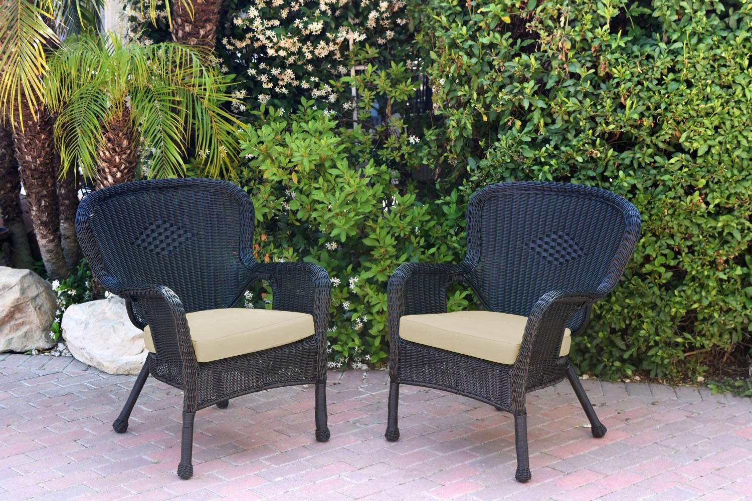 Set of 2 Windsor Black Resin Wicker Chair with Ivory Cushion