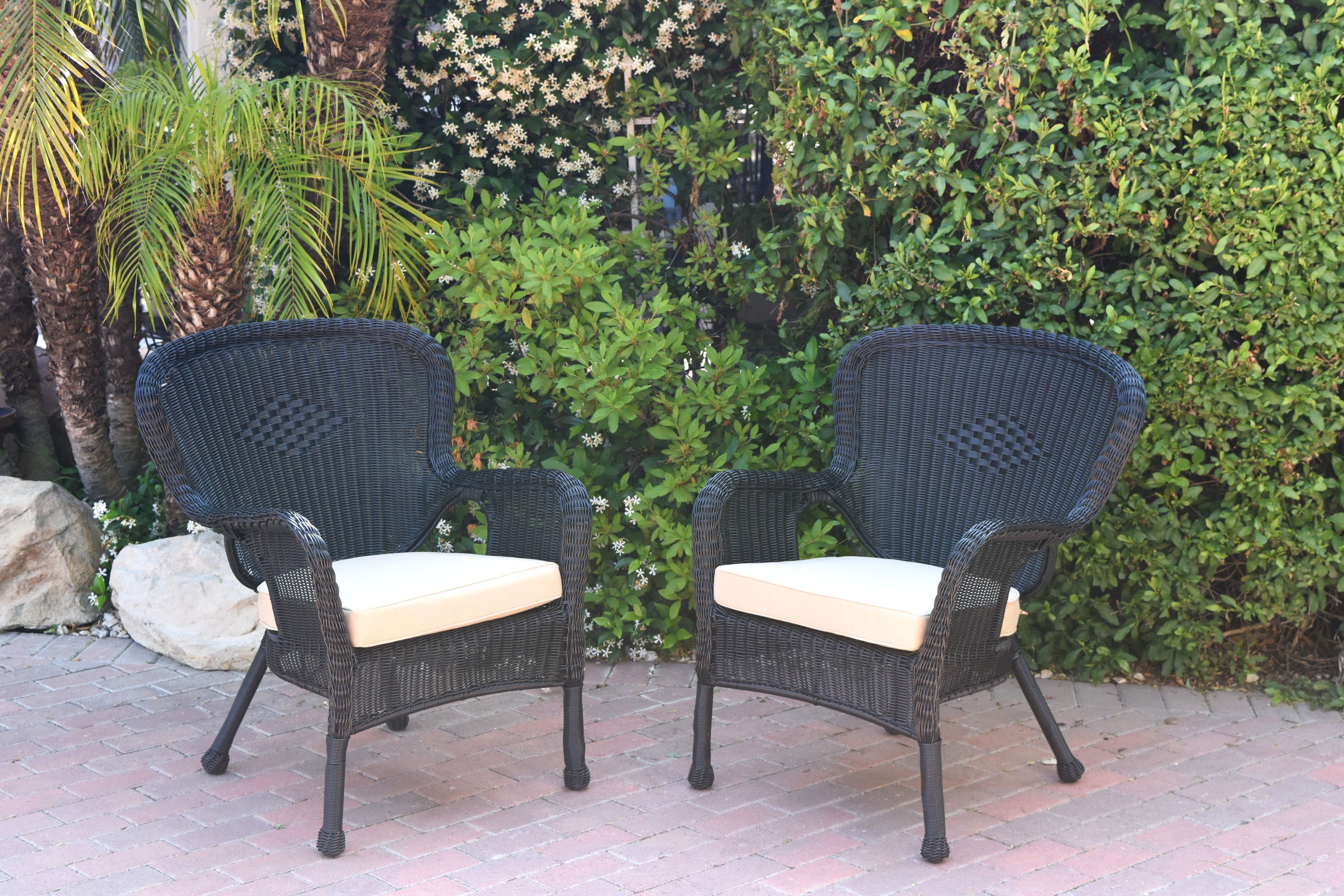 Set of 2 Windsor Black Resin Wicker Chair with Tan Cushions