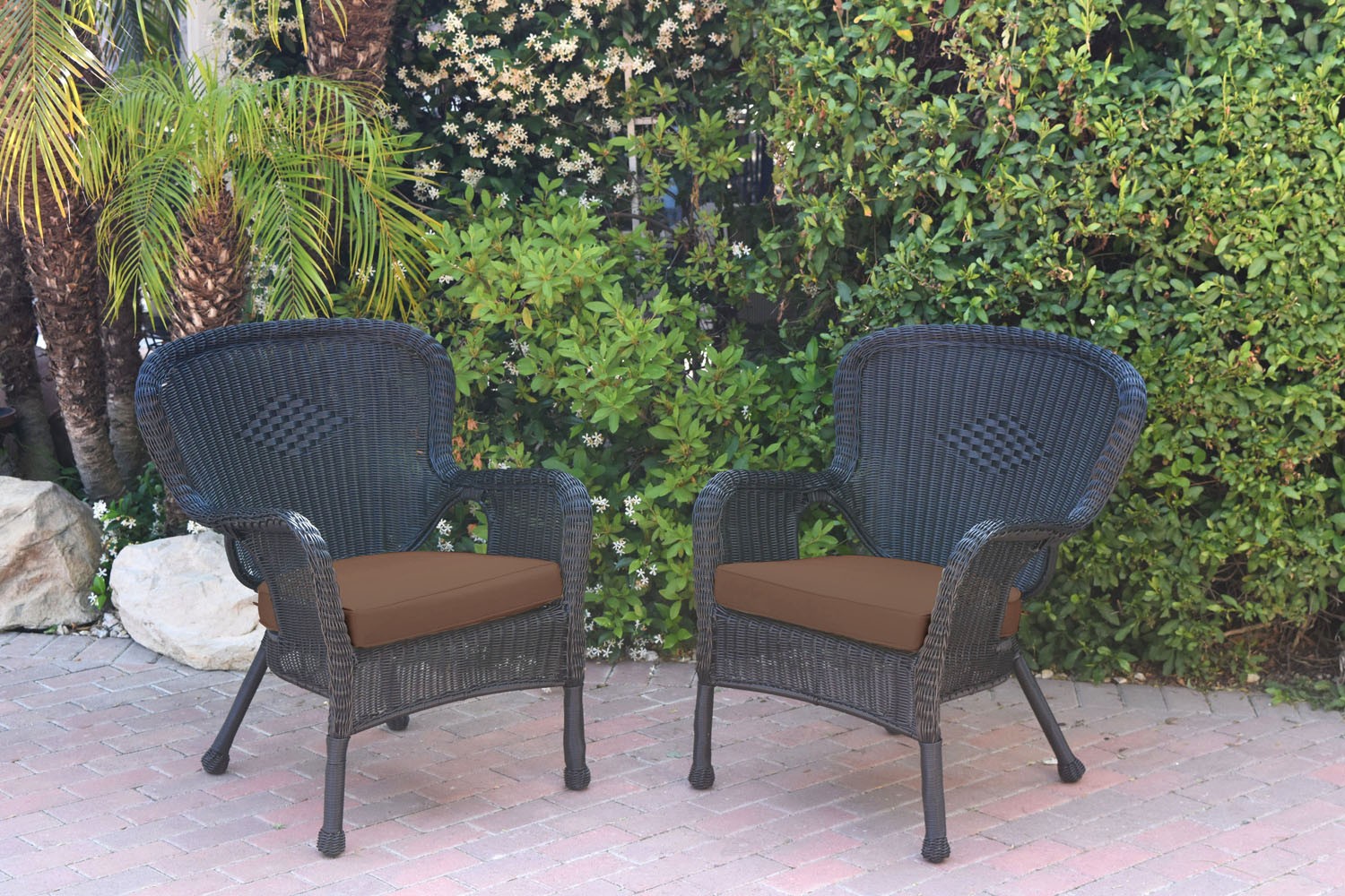 Set of 2 Windsor Black Resin Wicker Chair with Brown Cushions