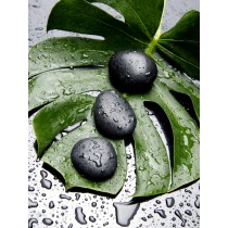 15.74 InchH green/black canvas wall art