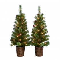 ADRIEL S/2 - 3.5FT  PRE-LIT  GREEN  POT TREE