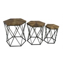 Set of 3 Hexagon Wood & Metal End Table