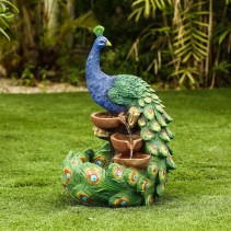 Peacock Fountain