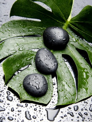 15.74 InchH green/black canvas wall art