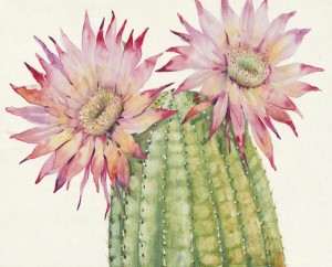 19.7 InchH Pink,Green Printing  Canvas