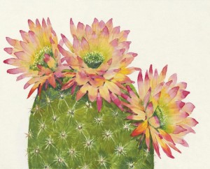 19.7 InchH Pink,Green Printing Canvas