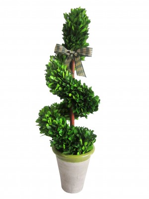 23 Inch Boxwood Rotate Topiary