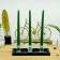 12 Inch Hunter Green Taper Candles (144pcs/Case) Bulk