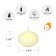 1 3/4 Inch Ivory Floating Candles (24pc/Box)