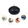 1 3/4 Inch Black Floating Candles (24pc/Box)