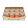 Orange Round Glass Votive Candles (12pc/Box)