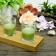 Sage Green Round Glass Votive Candles (96pcs/Case) Bulk