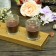Brown Round Glass Votive Candles (96pcs/Case) Bulk
