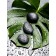15.74 InchH green/black canvas wall art
