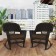 Espresso Rocker Wicker Chair with Brown Cushion -  Set of 2