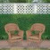 Honey Wicker Chair Without Cushion - Set of 2