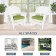 White Rocker Wicker Chair with Sage Green Cushion-  Set of 2