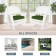 White Rocker Wicker Chair with Hunter Green Cushion-  Set of 2