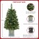 3FT H  FULL HARD NEEDLE ARTIFICIAL PORCH TREE WITH LIHGT