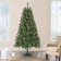 Caoimhe 6FT Sentiments Green Multi-color lights Tree