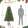 Caoimhe 6FT Sentiments Green Multi-color lights Tree