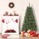 Caoimhe 6FT Sentiments Green Multi-color lights Tree