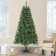 Aisling 6FT Sentiments Green Clear lights Tree