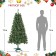 Aisling 6FT Sentiments Green Clear lights Tree