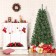 Aisling 6FT Sentiments Green Clear lights Tree