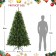 Aine 7FT Aspen Pre-lit  Multi-color lights  Tree