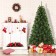 Aine 7FT Aspen Pre-lit  Multi-color lights  Tree
