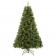 Isobel 7FT Aspen Pre-Lit Clear lights Tree