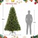 Isobel 7FT Aspen Pre-Lit Clear lights Tree