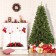 Isobel 7FT Aspen Pre-Lit Clear lights Tree