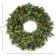 24 inch Christmas Wreath with Pine Needles and Lights