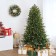 24 inch Eucalytpus Christmas Wreath with Red Berries and Lights