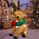 6FT INFLATABLE REINDEER -ANIMATION