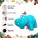 4FT Inflatable Hippo