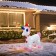 3.5FT Inflatable unicorn