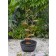 Multi-tier Metal Leaves Water Fountain