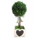 16.5 InchH Boxwood topiary with heart wood box 