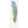 Feather Collection-II Oil Painting Wall Decor