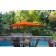 6.5FT x 10FT Aluminum Patio Market Umbrella Tilt with Crank - Orange Fabric/Champagne  Pole