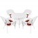 5pc White Wicker Dining Set With Cushions